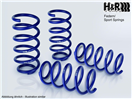 H&R 29176HA1 Zadní pružina podvozku 29176HA1