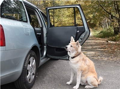 04129 Ochrana dveří před poškrábáním psem 2ks