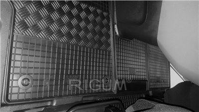 Gumové autokoberce Citroen Jumpy 2016- (přední, 2 místa, LUX+tunel)