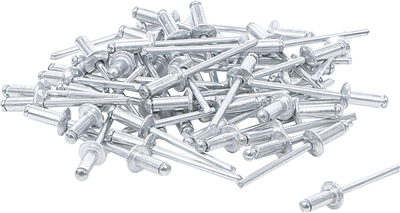 BGS 75848, Souprava slepých nýtů O 4,0 mm 50dílná