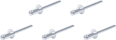 BGS 75849, Souprava slepých nýtů O 4,8 mm 50dílná