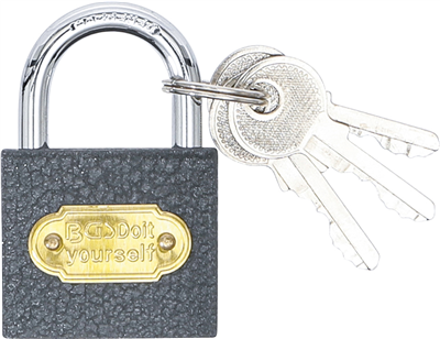 BGS 85140, Visací zámek typ L 38 mm