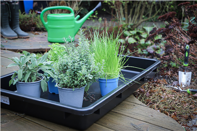 BGS 9997, Víceúčelová vana s vylévací hubicí černá 50 l