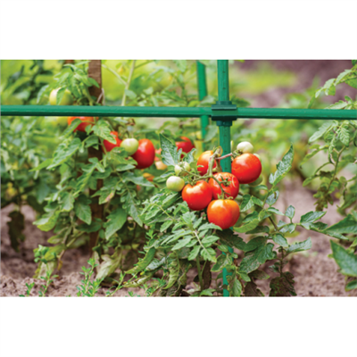 Spojka křížová na zahradní tyče 11mm, 10ks