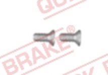 Šroub M6x1, délka 14 mm, na brzdové kotouče