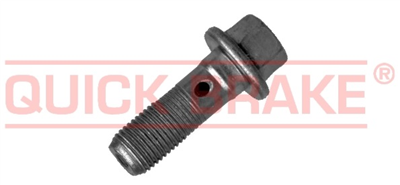 Šroub dutý, upevňovací M10x1, délka 37 mm, tzv. banjo šroub, na brzdy