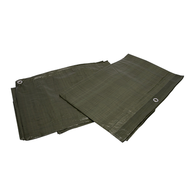 XTLINE Zakrývací plachta PE s oky zelená 70g/m2 | 2x2 m