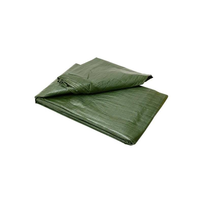 Plachta zakrývací EKONOMIK, 2 x 3 m, 55 g/m2, zelená