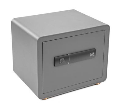 Trezor G21 na otisk prstu 380x310x300mm