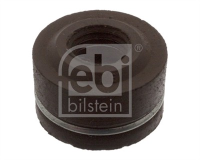 FEBI BILSTEIN 06645 EAN: 4027816066453.