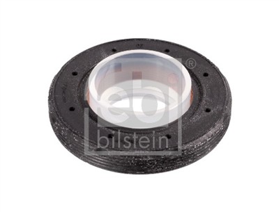 FEBI BILSTEIN 107976 EAN: 4054224079768.