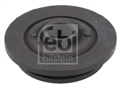 FEBI BILSTEIN 184381 EAN: 4054224843819.