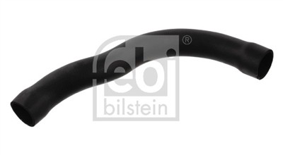 FEBI BILSTEIN 33875 EAN: 4027816338758.