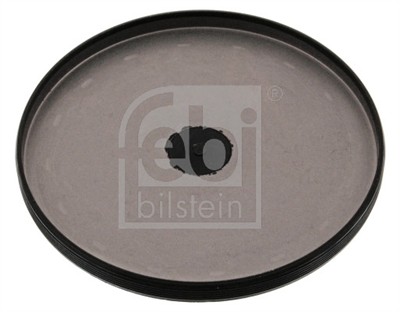 FEBI BILSTEIN 47166 EAN: 4027816471660.