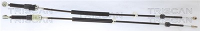 TRISCAN 8140 25713