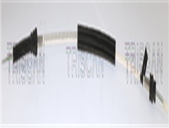 TRISCAN 8140 29782