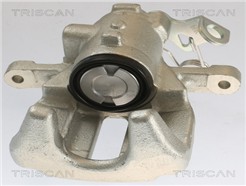 TRISCAN 8175 10224