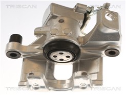 TRISCAN 8175 13208