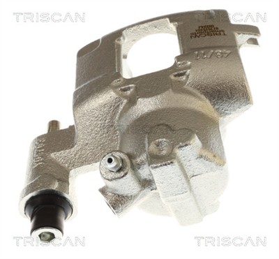 TRISCAN 8175 15101