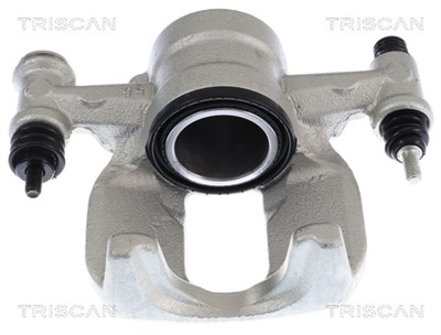 TRISCAN 8175 23251