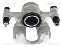 TRISCAN 8175 23252