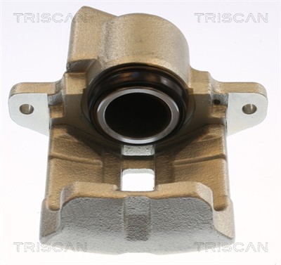 TRISCAN 8175 25101
