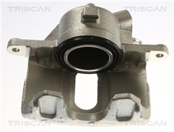 TRISCAN 8175 25110