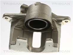 TRISCAN 8175 25111