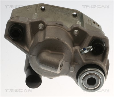 TRISCAN 8175 28110
