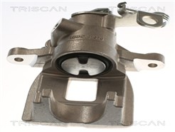 TRISCAN 8175 28222