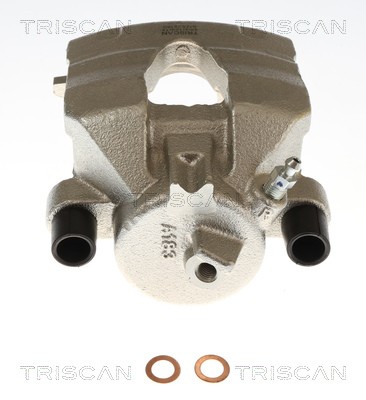 TRISCAN 8175 29190