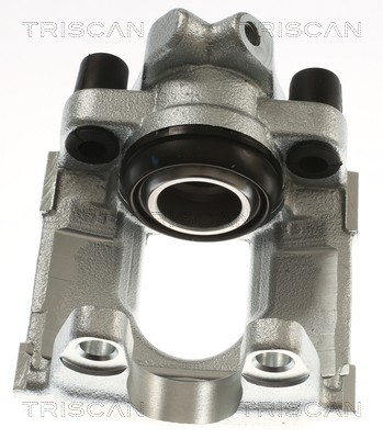 TRISCAN 8175 292015