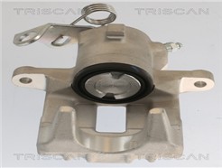 TRISCAN 8175 29209