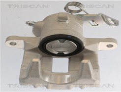TRISCAN 8175 29210