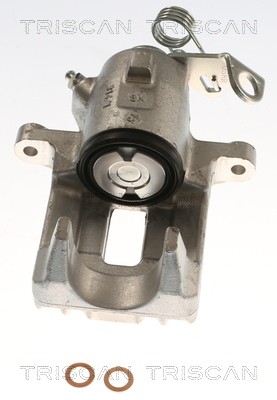 TRISCAN 8175 29218 EAN: 5710476391063.