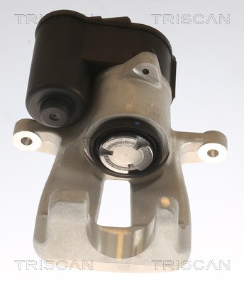 TRISCAN 8175 29223 EAN: 5710476391117.