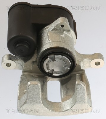 TRISCAN 8175 29231 EAN: 5710476391193.
