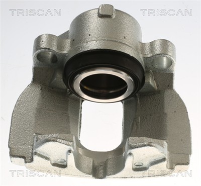 TRISCAN 8175 82101