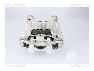 TRISCAN 8175 82203