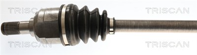 TRISCAN 8540 43556