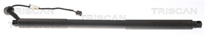 TRISCAN 8710 27305