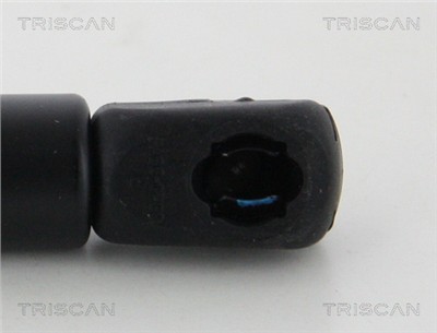 TRISCAN 8710 29147 EAN: 5710476292353.