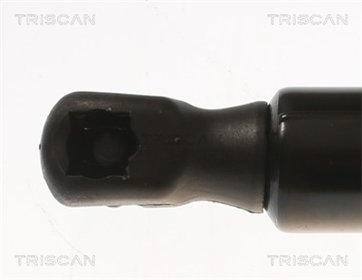 TRISCAN 8710 81204 EAN: 5710476445162.