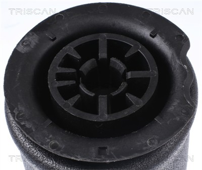 TRISCAN 8720 11202 EAN: 5710476326645.