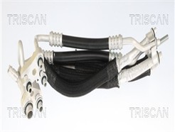 TRISCAN 9010 81012