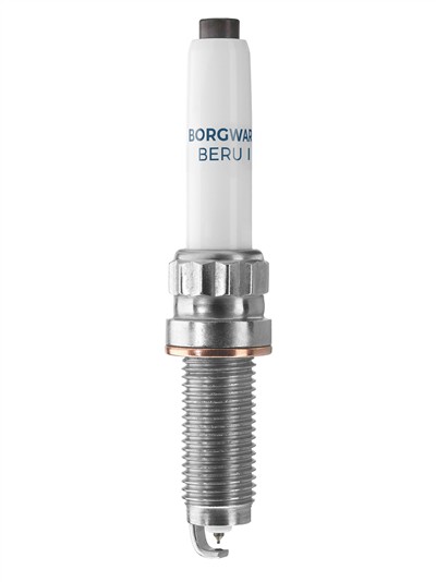 BERU Z366 EAN: 4014427178606.