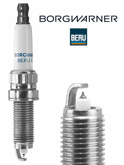 BERU Z529 EAN: 4014427179788.