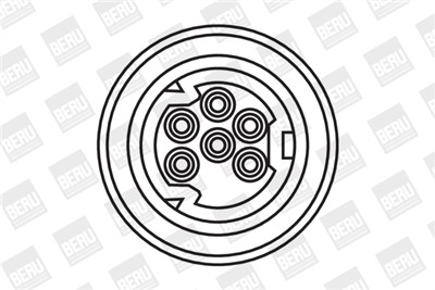 BERU ZS307 Číslo výrobce: 0 040 100 307. EAN: 4014427076230.