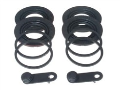 BUDWEG CALIPER 204042