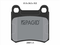 PAGID T1010N
